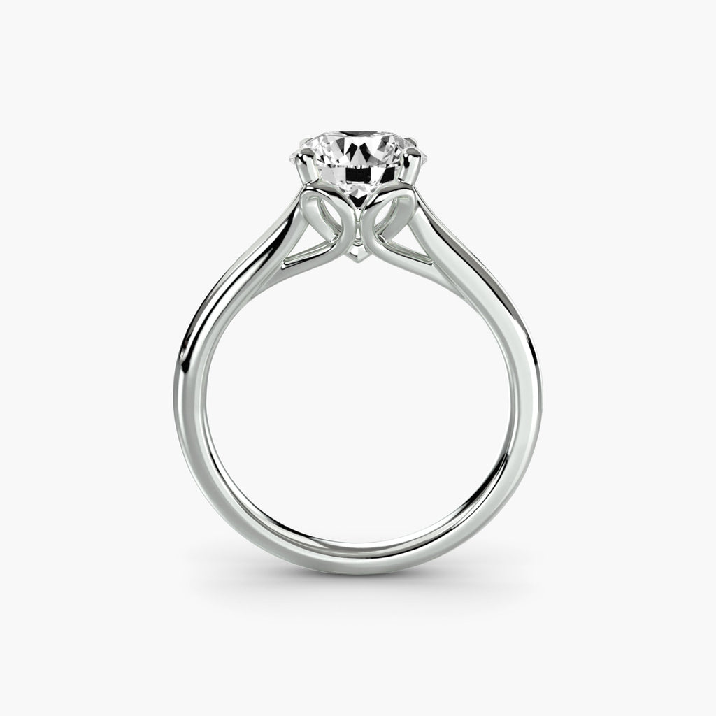 Solitaire ring 4 EclectiCarat