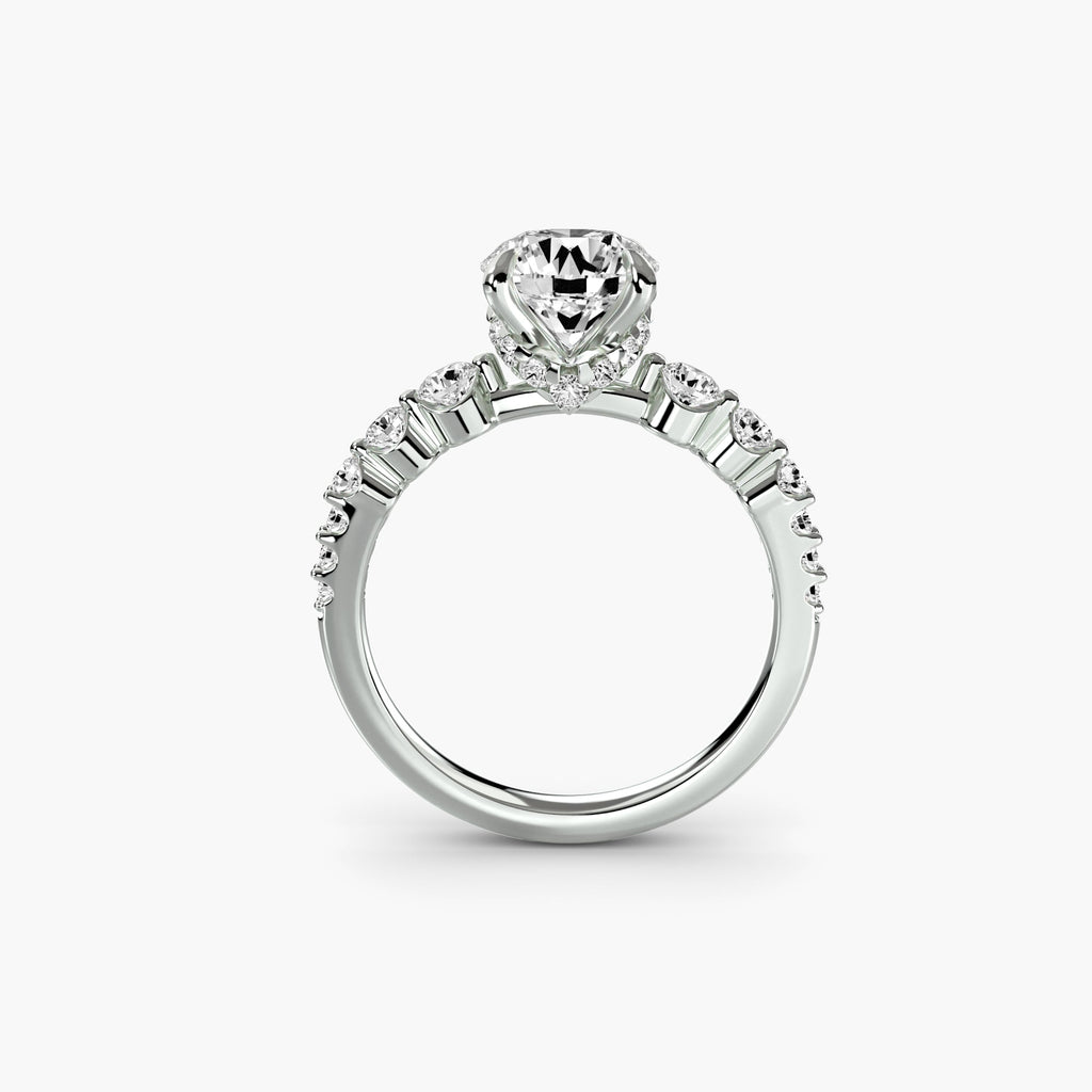 The Cascade Diamond Ring EclectiCarat